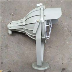 BAT51BAT51-600防爆投光灯,BAT51650防爆投光灯（IP55 WF1）
