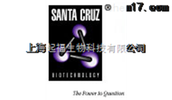 santa cruz产品抗体1950元*