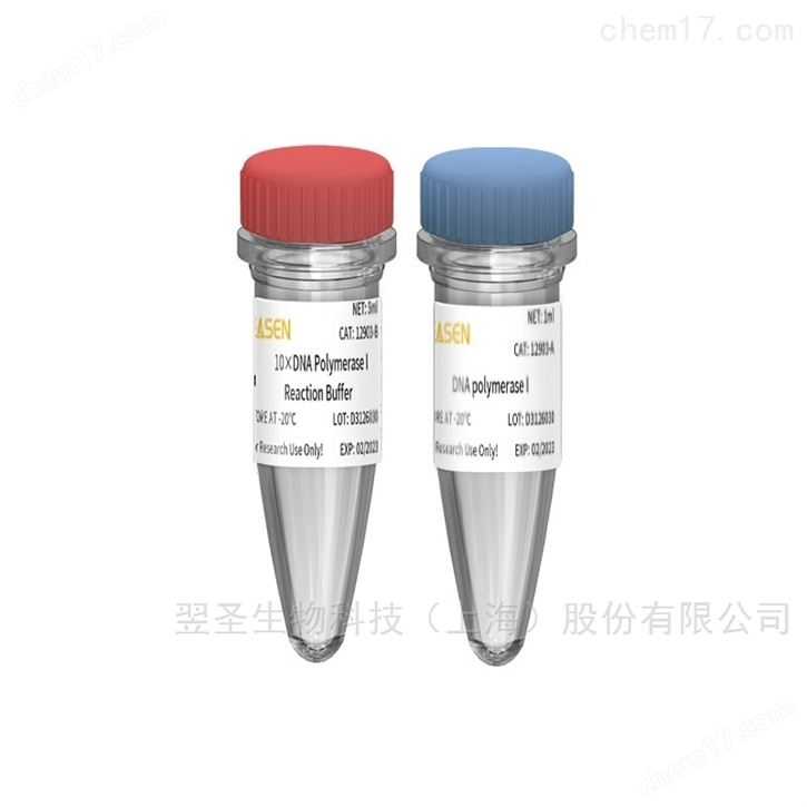 DNA Polymerase Ⅰ