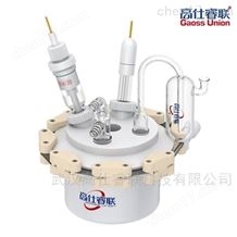 全四氟傳統(tǒng)五口密封電解池